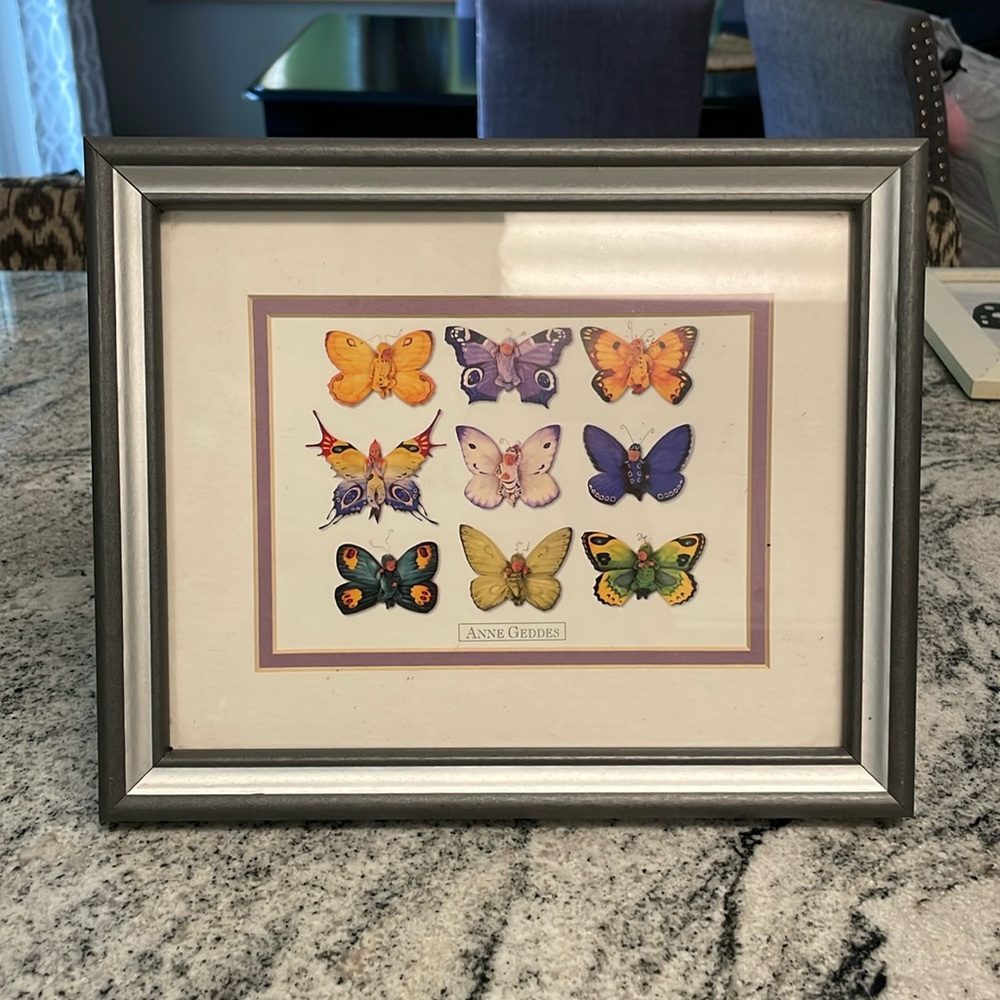 Anne Geddes Butterfly Photo in Frame
